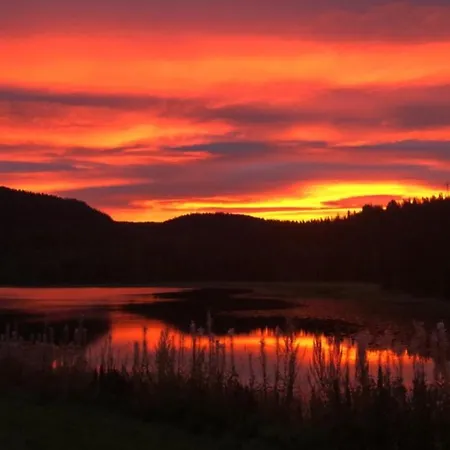 Hus Pa Gardstun I Rolige Omgivelser I Eidsborg Holiday home *